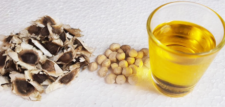 buy organic moringa oil
