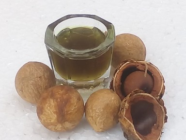 wholesale tamanu oil
